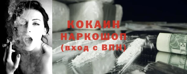 дживик Новодвинск