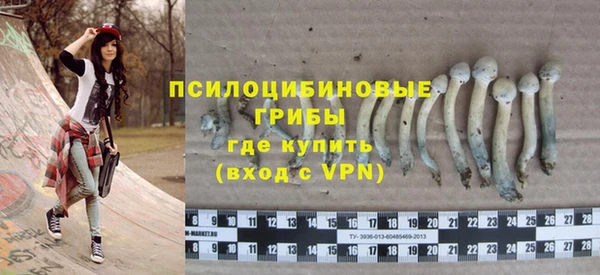 ALPHA-PVP Нея