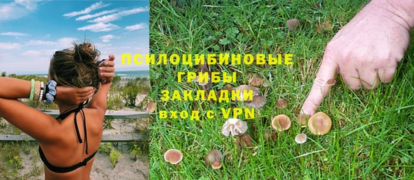 каннабис Приозерск