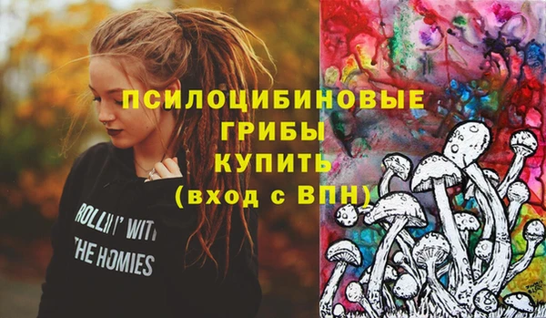 альфа пвп Нефтегорск