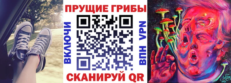 Галлюциногенные грибы прущие грибы  купить   Кировград 